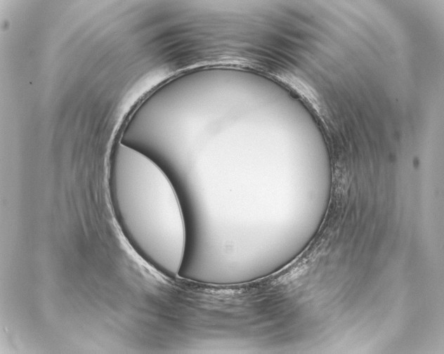 X0000088211135200705151044