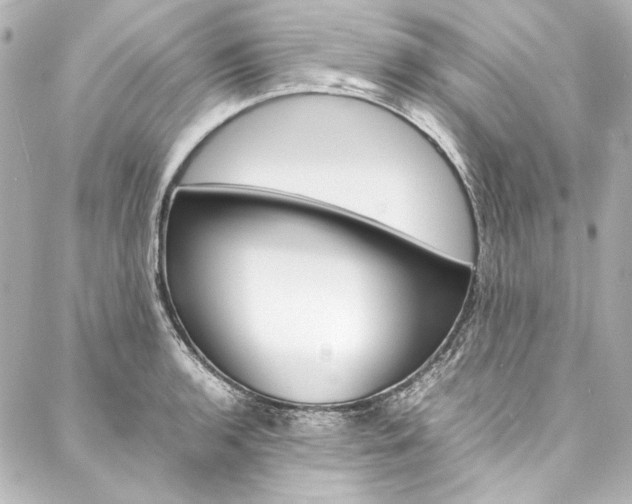 X0000088211136200705151044