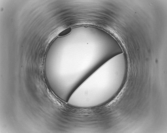 X0000088211137200705151044