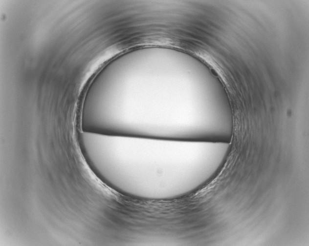 X0000088211139200705151044