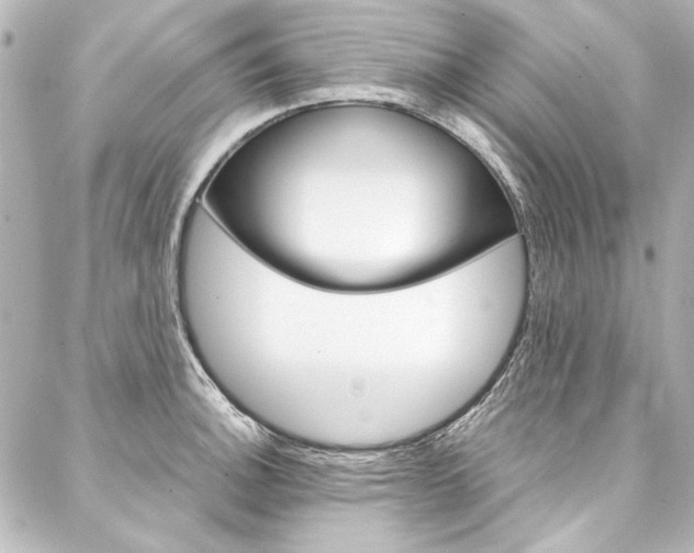 X0000088211140200705151045