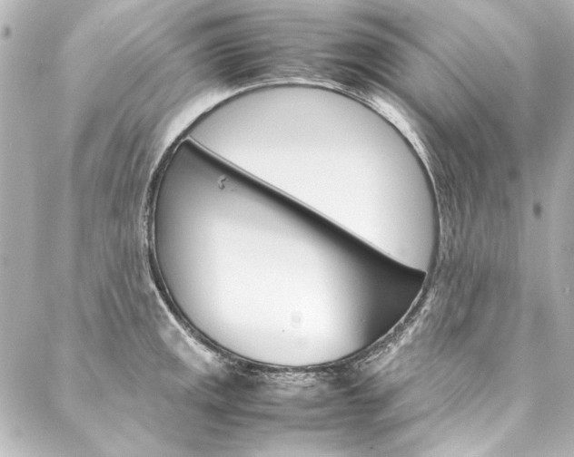 X0000088211141200705151045