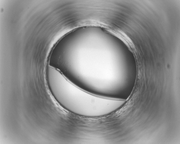 X0000088211144200705151045