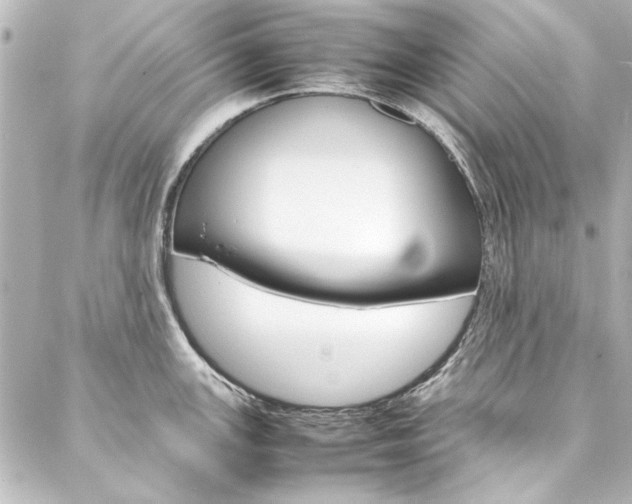X0000088211147200705151045