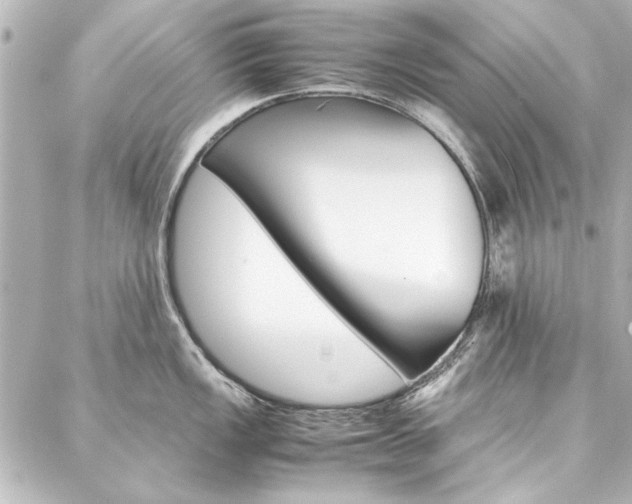 X0000088211149200705151045