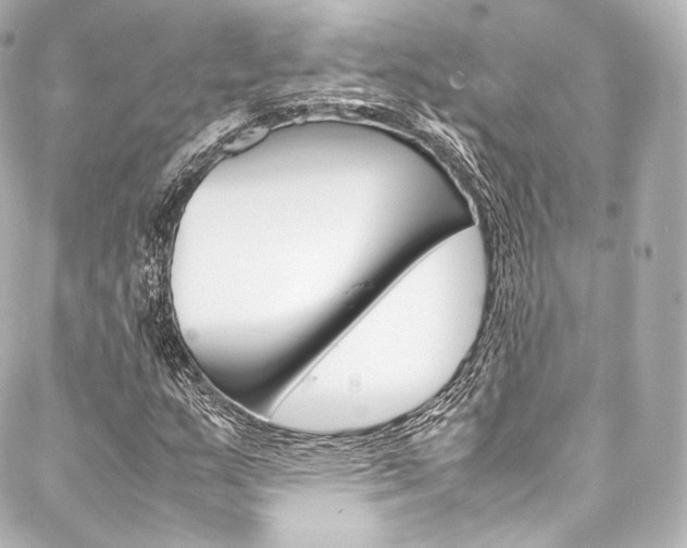 X0000088211159200705151044