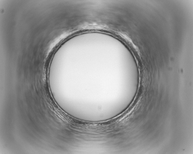 X0000088211167200705151044