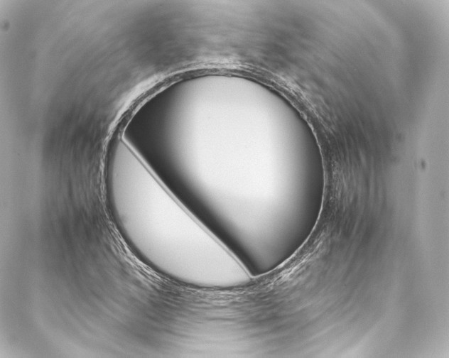X0000088211168200705151044