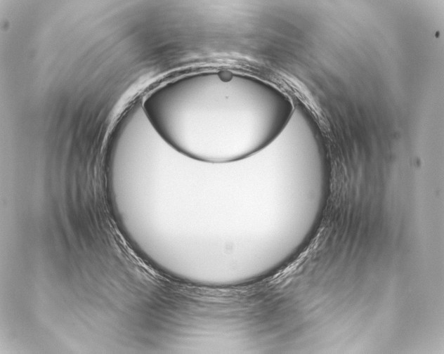 X0000088211172200705151044