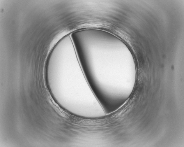 X0000088211179200705151043
