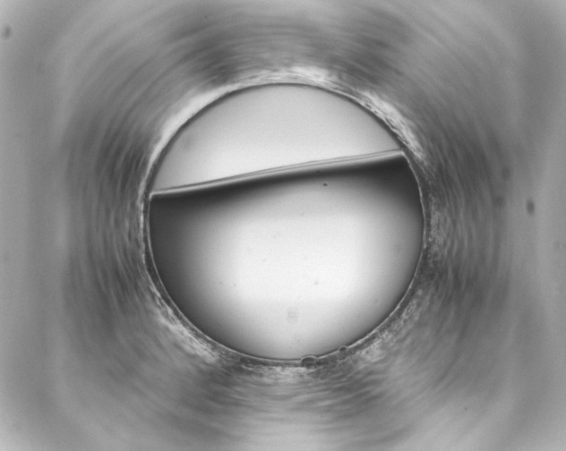 X0000088211184200705151043