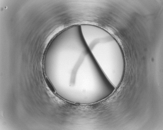 X0000088211189200705151043