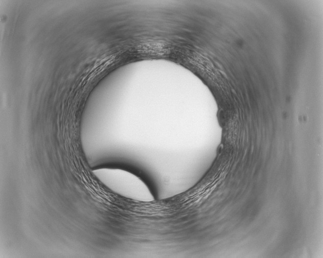 X0000088211201200705151042