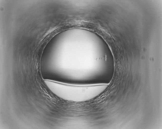 X0000088211206200705151042