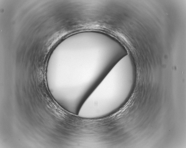 X0000088211212200705151043