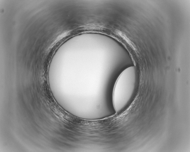 X0000088211213200705151043