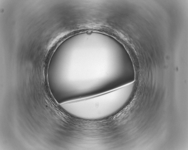 X0000088211214200705151043