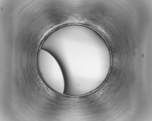 X0000088211220200705151043