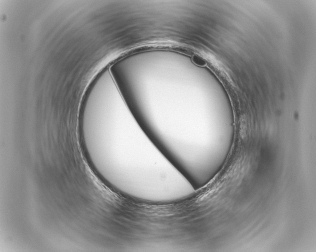 X0000088211229200705151043