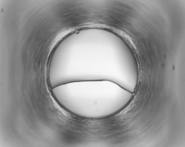 X0000088211231200705151043