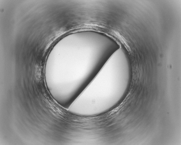 X0000088211260200705151042