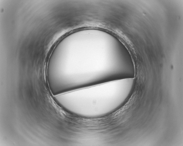 X0000088211272200705151042