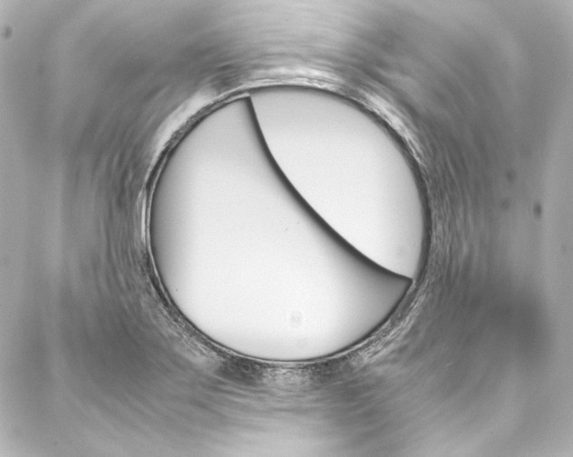 X0000088211275200705151042
