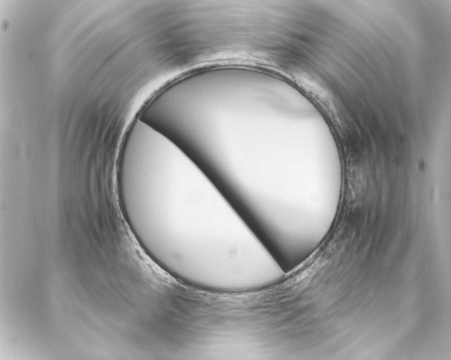 X0000088211288200705151042