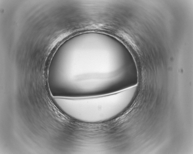 X0000088211308200705151041