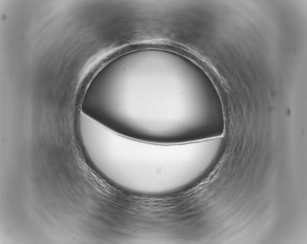 X0000088211319200705151041