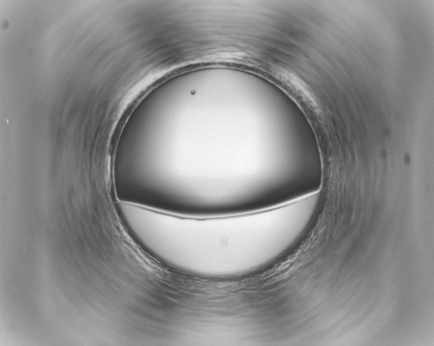 X0000088211324200705151041