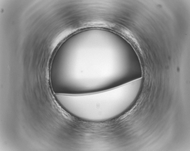 X0000088211328200705151041