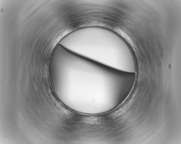 X0000088211329200705151041