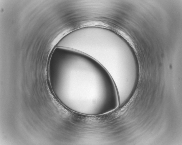 X0000088211330200705151041