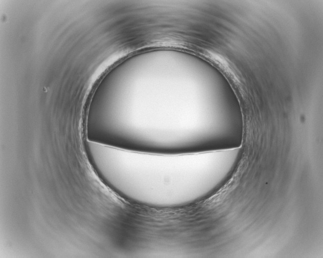 X0000088211331200705151041