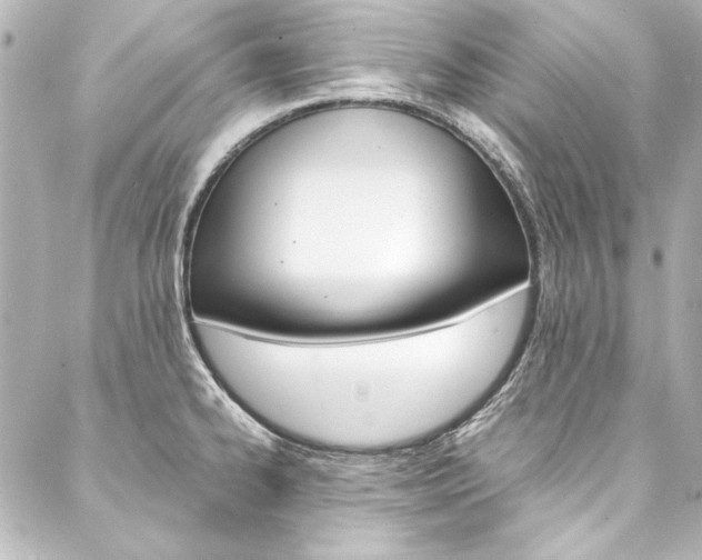 X0000088211334200705151041