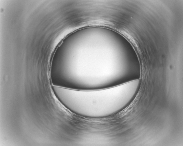 X0000088211342200705151042