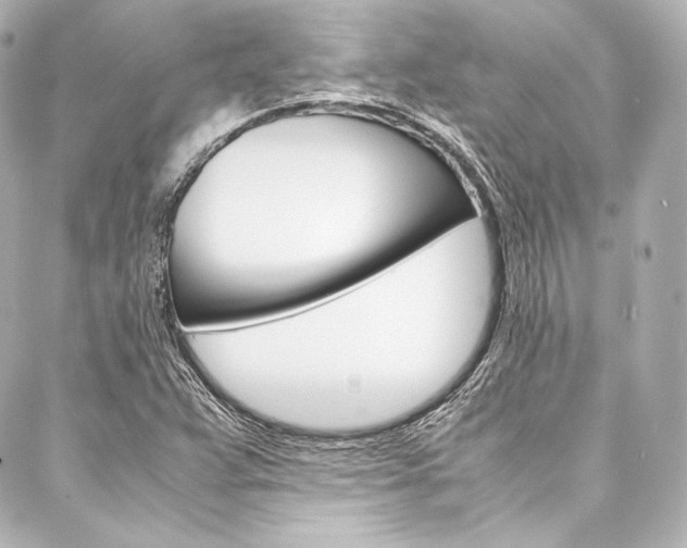 X0000088211359200705151041