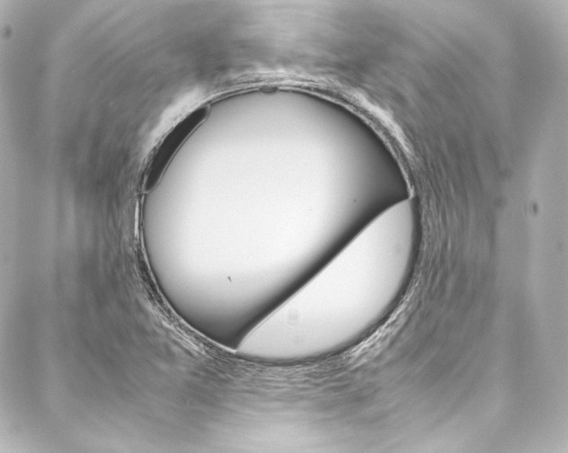 X0000088211365200705151040