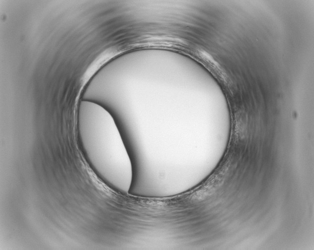 X0000088211370200705151040