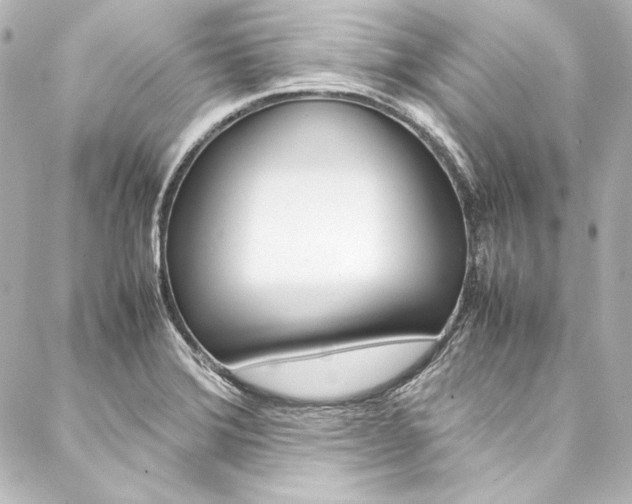 X0000088211372200705151040