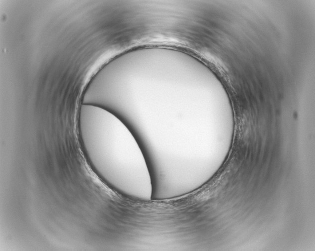 X0000088211374200705151040