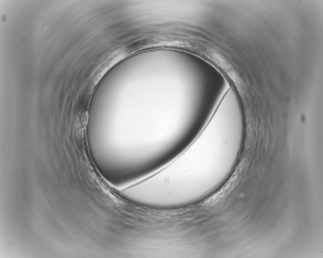 X0000088211377200705151040