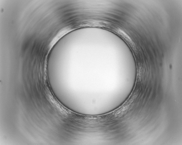 X0000088211378200705151040