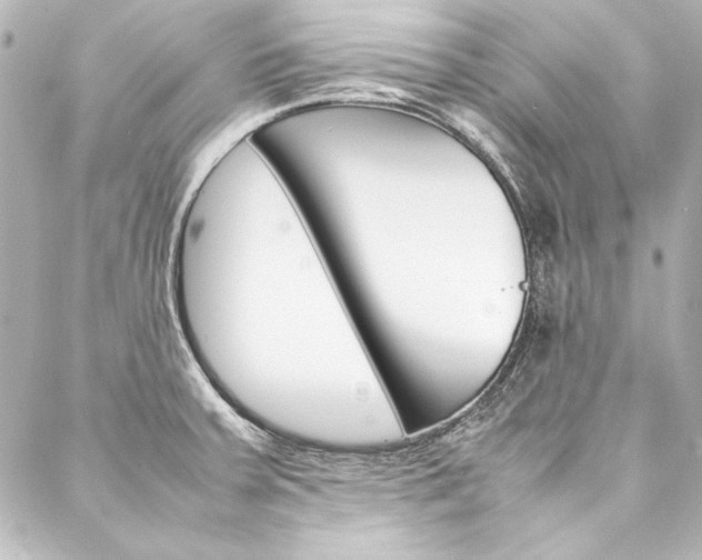 X0000088211379200705151040