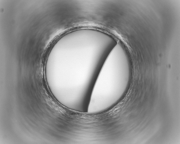 X0000088211408200705151039