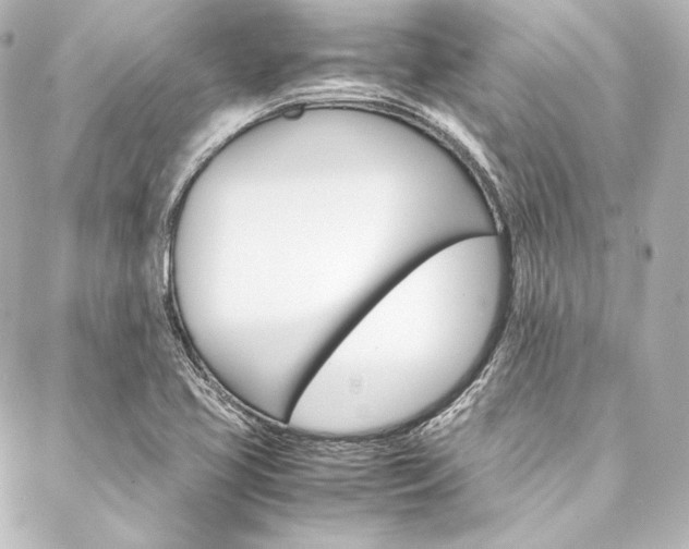 X0000088211413200705151040