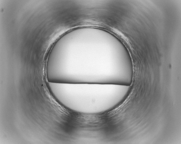 X0000088211415200705151040