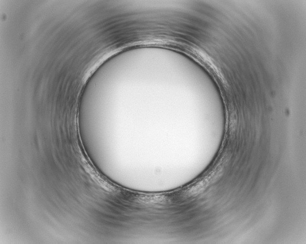 X0000088211417200705151040