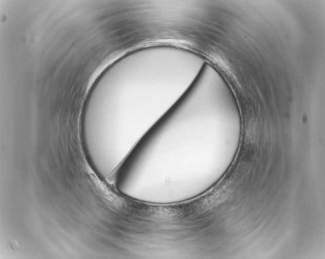 X0000088211420200705151040